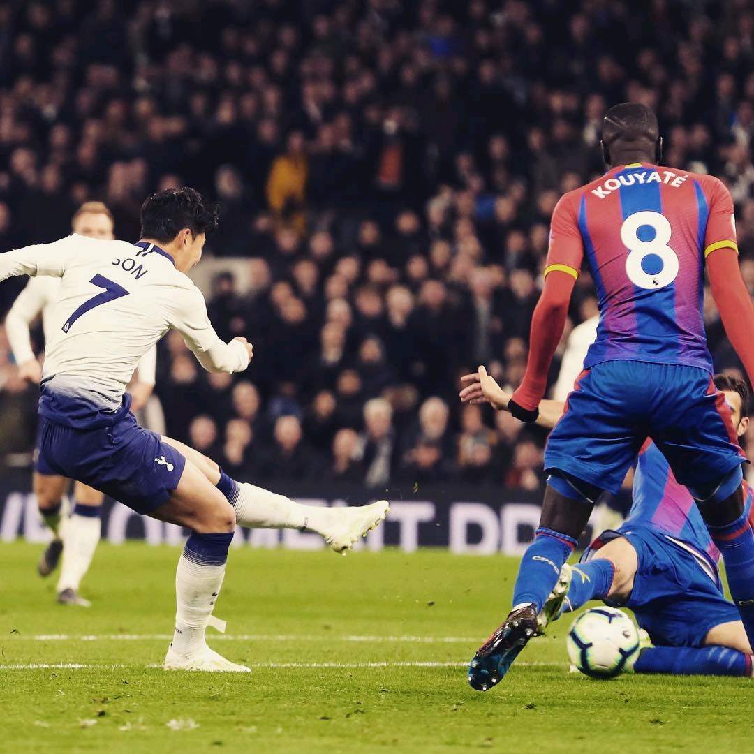 他们的实力 他们的实力